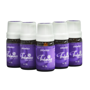 Óleo Concentrado 12ml - Patchouly