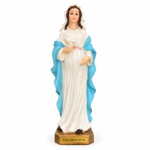 Nossa Senhora Gravida 20cm